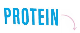 Protein